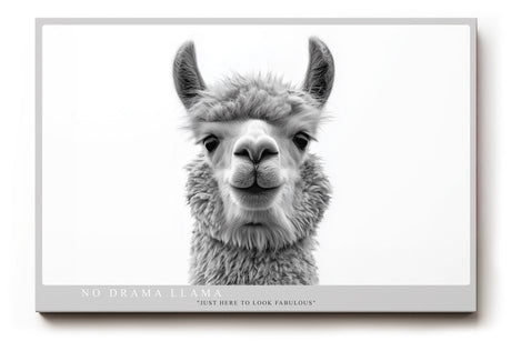 Paul Sinus Wandbild No Drama Llama humorvolles Tiermotiv mit Lama in Schwarzweiß für moderne Wohnräume mit Witz und Stil