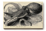 Paul Sinus Wandbild 120x80cm Oktopus Illustration Meereskunst Schwarz Weiss Vintage Naturstudie