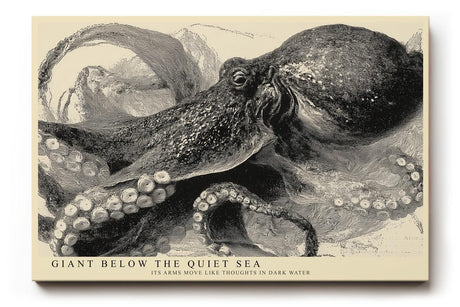 Paul Sinus Wandbild 120x80cm Oktopus Illustration Meereskunst Schwarz Weiss Vintage Naturstudie