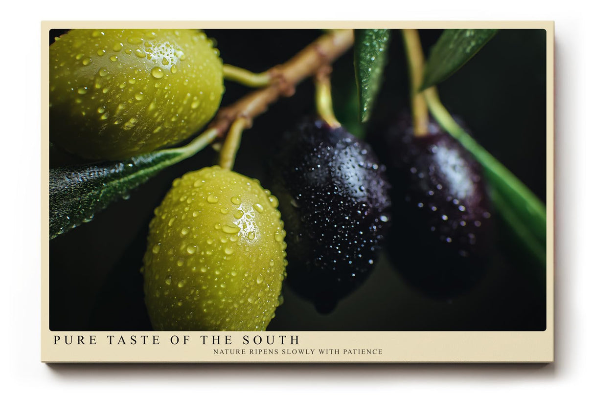 Paul Sinus Wandbild 120x80cm Oliven Makrofotografie mediterrane Frucht Naturmotiv gruene schwarze Oliven moderne Wanddekoration fuer Kueche Esszimmer Wohnzimmer