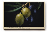 Paul Sinus Wandbild 120x80cm Olivenzweig Makrofotografie mediterrane Frucht Naturmotiv moderne Kuechen Wanddekoration fuer Esszimmer Wohnzimmer
