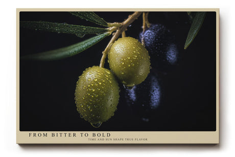 Paul Sinus Wandbild 120x80cm Olivenzweig Makrofotografie mediterrane Frucht Naturmotiv moderne Kuechen Wanddekoration fuer Esszimmer Wohnzimmer