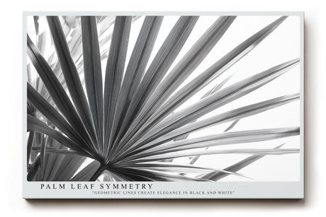 Paul Sinus Wandbild Palm Leaf Symmetry Schwarz-Weiß-Motiv eines Palmenblatts mit klarer Linienstruktur und eleganter, geometrischer Anordnung.