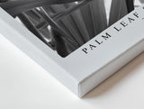 Paul Sinus Wandbild Palm Leaf Symmetry Schwarz-Weiß-Motiv eines Palmenblatts mit klarer Linienstruktur und eleganter, geometrischer Anordnung.
