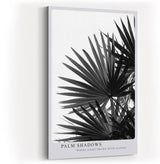 Paul Sinus Wandbild in 40x60cm Palm Shadows – Schwarz-weißes Palmenblattmotiv mit markanten Lichtund Schattenspielen