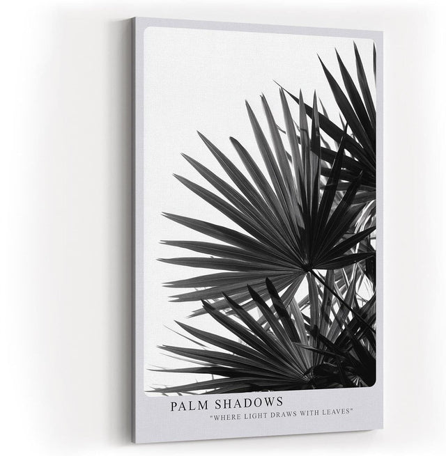 Paul Sinus Wandbild in 40x60cm Palm Shadows – Schwarz-weißes Palmenblattmotiv mit markanten Lichtund Schattenspielen