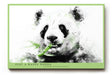 Paul Sinus Wandbild 120x80cm Panda Aquarell Illustration Tiermotiv schwarz weiß grün moderne Tierkunst ruhiges Naturbild stilvolle Wanddekoration für Wohnzimmer Kinderzimmer Büro