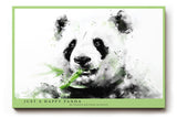 Paul Sinus Wandbild 120x80cm Panda Aquarell Illustration Tiermotiv schwarz weiß grün moderne Tierkunst ruhiges Naturbild stilvolle Wanddekoration für Wohnzimmer Kinderzimmer Büro