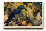 Paul Sinus Wandbild 120x80cm Papageien Stillleben Tropische Voegel Kunstmotiv mit Früchten und Pflanzen