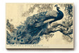 Paul Sinus Wandbild 120x80cm Pfau auf Ast Klassische Vogelkunst in Blau und Naturtoenen fuer Wohnzimmer Schlafzimmer und elegante Wohnräume