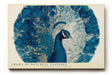 Paul Sinus Wandbild 120x80cm Pfau mit ausgebreiteten Federn Blaue Vogelkunst fuer Wohnzimmer Schlafzimmer und stilvolle Wohnräume