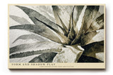 Paul Sinus Wandbild 120x80cm Pflanze Aquarell modern beige schwarz botanische Kunst Kunstdruck grosses Kunstbild elegante Wanddekoration fuer Wohnzimmer Büro Flur
