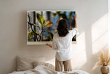 Paul Sinus Wandbild 120x80cm Pflanzen Makrofotografie Blatt im Sonnenlicht ruhige Natur Fotokunst modernes Naturbild stilvolle
