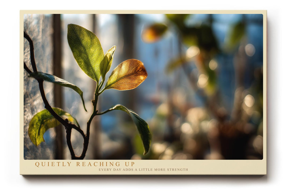 Paul Sinus Wandbild 120x80cm Pflanzen Makrofotografie Blatt im Sonnenlicht ruhige Natur Fotokunst modernes Naturbild stilvolle