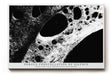 Paul Sinus Wandbild 120x80cm Porous Constellation of Silence Abstrakte Schwarz Weiss Struktur Kunst Modernes Design Wandbild 120x80cm