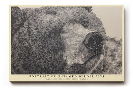 Paul Sinus Wandbild Portrait of Untamed Wilderness kraftvolles Tiermotiv mit Bärenporträt in natürlicher Linienzeichnung