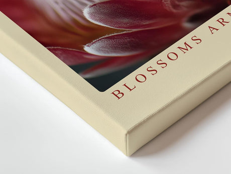 Paul Sinus Wandbild 120x80cm Protea Blueten Makrofotografie farbenreiche Blumen Kunst