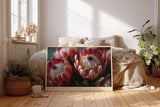 Paul Sinus Wandbild 120x80cm Protea Blueten Makrofotografie farbenreiche Blumen Kunst