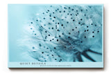 Paul Sinus Wandbild 120x80cm Pusteblume Detail Makrofotografie in hellen Blautönen minimalistische Naturkunst stilvolles botanisches Kunstbild für Wohnzimmer Büro