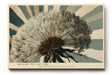 Paul Sinus Wandbild 120x80cm Pusteblume modern Naturmotiv beige blau Kunstdruck grosses Wandbild 120x80cm ruhige botanische Wanddekoration fuer Wohnzimmer Büro