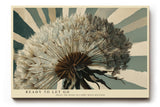 Paul Sinus Wandbild 120x80cm Pusteblume modern Naturmotiv beige blau Kunstdruck grosses Wandbild 120x80cm ruhige botanische Wanddekoration fuer Wohnzimmer Büro
