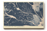 Paul Sinus Wandbild Rivers of the Unknown Abstract Flow of Light and Chaos in Blue Motion