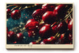 Paul Sinus Wandbild 120x80cm rote Beeren Makrofotografie Naturmotiv moderne Food Fotografie Kunstbild stilvolle Wanddekoration fuer Kueche Esszimmer Wohnzimmer