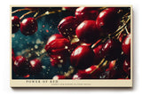 Paul Sinus Wandbild 120x80cm rote Beeren Makrofotografie Naturmotiv moderne Food Fotografie Kunstbild stilvolle Wanddekoration fuer Kueche Esszimmer Wohnzimmer