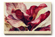 Paul Sinus Wandbild 120x80cm rote Blueten abstrakte Blumenmalerei florale Kunst rot beige elegante Wanddekoration fuer Wohnzimmer Büro