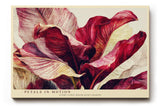 Paul Sinus Wandbild 120x80cm rote Blueten abstrakte Blumenmalerei florale Kunst rot beige elegante Wanddekoration fuer Wohnzimmer Büro