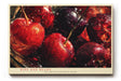Paul Sinus Wandbild 120x80cm rote Kirschen Stillleben Obst Fotokunst intensives Rot Frucht Motiv moderne Wanddekoration fuer Kueche Esszimmer Wohnzimmer