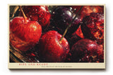 Paul Sinus Wandbild 120x80cm rote Kirschen Stillleben Obst Fotokunst intensives Rot Frucht Motiv moderne Wanddekoration fuer Kueche Esszimmer Wohnzimmer