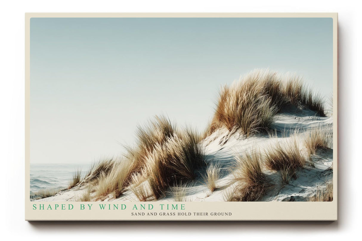 Paul Sinus Wandbild 120x80cm Sandduenen mit Strandgras ruhige Naturfotografie minimalistische Landschaft stilvolle Wanddekoration fuer Wohnzimmer Büro