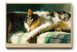 Paul Sinus Wandbild 120x80cm schlafende Katze impressionistische Tiermalerei warmes Licht weiche Pinselstruktur gemuetliche Kunst Wanddekoration fuer Wohnzimmer Büro