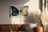 Paul Sinus Wandbild 120x80cm Schmetterling Illustration Dualitaet Natur Kunst Wanddekoration moderne Tierkunst Wohnzimmer Schlafzimmer