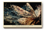 Paul Sinus Wandbild 120x80cm Schmetterling Makrofotografie funkelnde Flügel detailreiche Natur Fotokunst modernes Tierbild für Wohnzimmer Büro