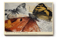 Paul Sinus Wandbild 120x80cm Schmetterlinge Mixed Media Kunst orange gelb schwarz moderne Tierillustration kreatives Kunstbild stilvolle Wanddekoration fuer Wohnzimmer Büro
