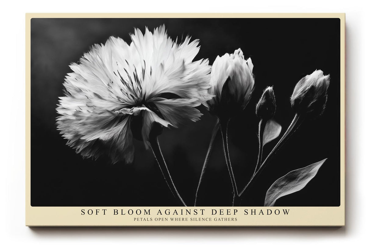 Paul Sinus Wandbild 120x80cm Schwarz Weiss Blume elegante Makro Blumenfotografie moderne Natur Wanddekoration