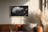 Paul Sinus Wandbild 120x80cm Schwarz Weiss Blume elegante Makro Blumenfotografie moderne Natur Wanddekoration