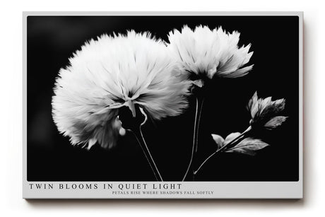 Paul Sinus Wandbild 120x80cm Schwarz Weiss Blumen Duo elegante Makro Naturfotografie moderne Wanddekoration