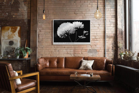 Paul Sinus Wandbild 120x80cm Schwarz Weiss Blumen Duo elegante Makro Naturfotografie moderne Wanddekoration