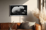 Paul Sinus Wandbild 120x80cm Schwarz Weiss Blumen Duo elegante Makro Naturfotografie moderne Wanddekoration