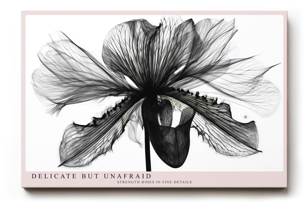 Paul Sinus Wandbild 120x80cm Schwarz Weiss Blumen Makrofotografie elegante botanische Blüte moderne Monochrom Kunst stilvolle