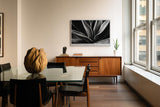 Paul Sinus Wandbild 120x80cm Schwarz Weiss Pflanzen Makrofotografie elegante botanische Blattstruktur modernes Natur Kunstbild für Wohnzimmer Büro Flur