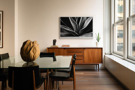 Paul Sinus Wandbild 120x80cm Schwarz Weiss Pflanzen Makrofotografie elegante botanische Blattstruktur modernes Natur Kunstbild für Wohnzimmer Büro Flur