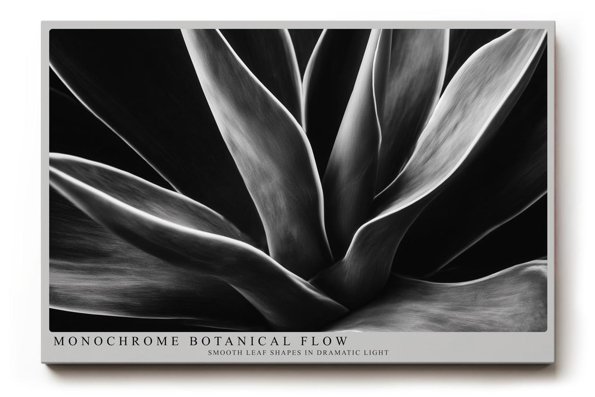 Paul Sinus Wandbild 120x80cm Schwarz Weiss Pflanzen Makrofotografie elegante botanische Blattstruktur modernes Natur Kunstbild für Wohnzimmer Büro Flur