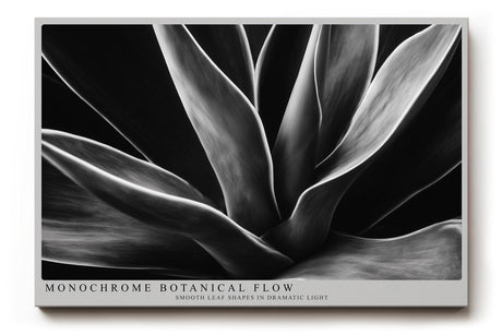 Paul Sinus Wandbild 120x80cm Schwarz Weiss Pflanzen Makrofotografie elegante botanische Blattstruktur modernes Natur Kunstbild für Wohnzimmer Büro Flur