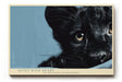 Paul Sinus Wandbild 120x80cm schwarzer Panther Tierportrait moderne Wildtier Fotografie stilvolle Wanddekoration fuer Wohnzimmer Büro