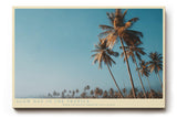 Paul Sinus Wandbild 120x80cm Slow Day in the Tropics Tropische Palmen Landschaft Sommer Natur Kunst fuer Wohnzimmer Schlafzimmer und Büro
