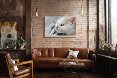 Paul Sinus Wandbild 120x80cm Soft Faces Shared Light zwei süße Kätzchen Tier Fotokunst Katzen Poster für Wohnzimmer Schlafzimmer Kinderzimmer